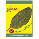 Hoja de Plátano America